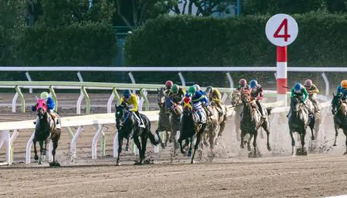 エルドアカジノには競馬がない