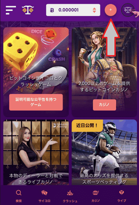 トラストダイスの入金方法:トップ画面