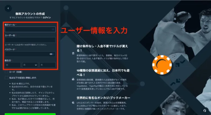 ステークカジノの登録方法:登録画面