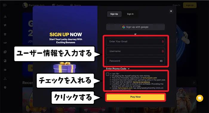 ユーザー情報を入力