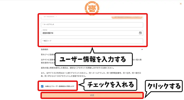 同意のチェックを入れる